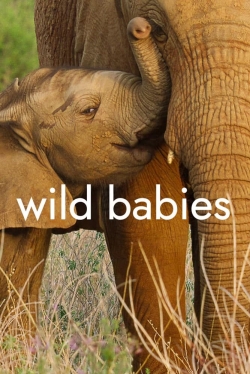 Wild Babies-stream