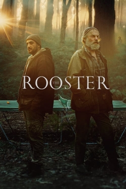 The Rooster-stream