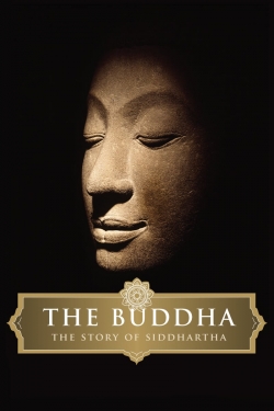 The Buddha-stream