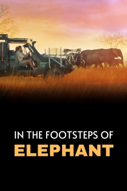 In the Footsteps of Elephant-stream