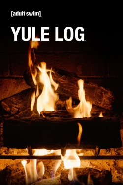 Adult Swim Yule Log-stream