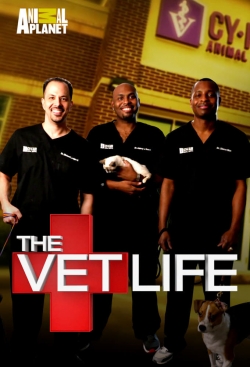 The Vet Life-stream