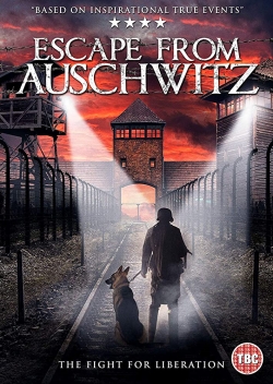 The Escape from Auschwitz-stream