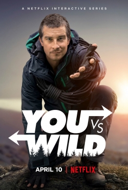 You vs. Wild-stream