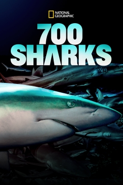 700 Sharks-stream