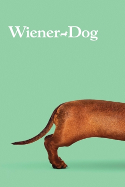 Wiener-Dog-stream