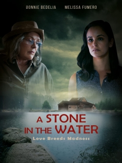 A Stone in the Water-stream