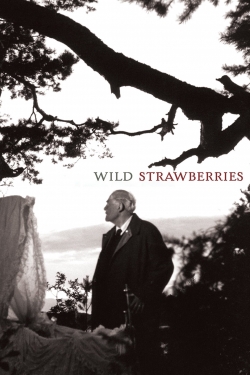 Wild Strawberries-stream