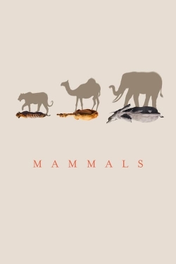 Mammals-stream