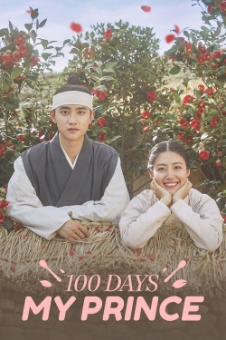 100 Days My Prince-stream