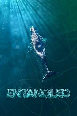 Entangled: The Race to Save Right Whales from Extinction-stream