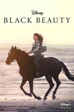 Black Beauty-stream