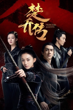 Princess Agents-stream