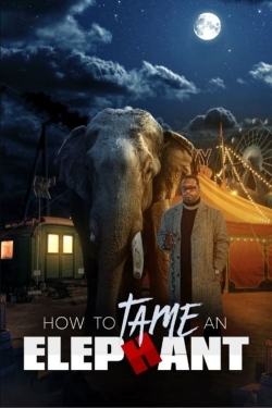 How To Tame An Elephant-stream