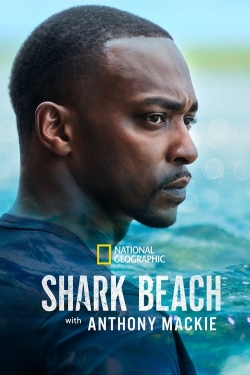 Shark Beach with Anthony Mackie-stream