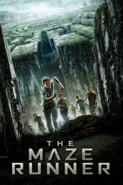 The Maze Runner-stream