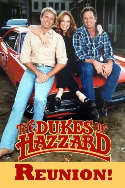 The Dukes of Hazzard: Reunion!-stream