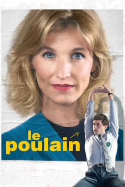 Le Poulain-stream