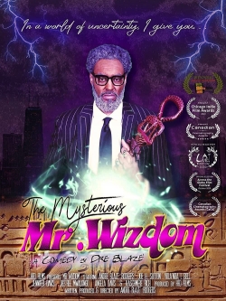 The Mysterious Mr. Wizdom-stream