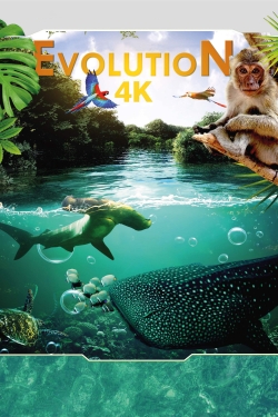 Evolution 4K-stream