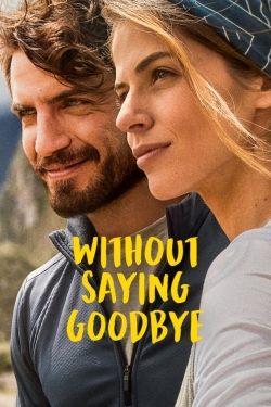 Without Saying Goodbye-stream