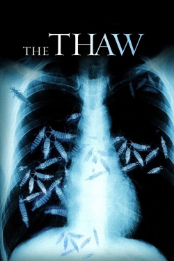 The Thaw-stream