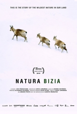 Natura Bizia-stream