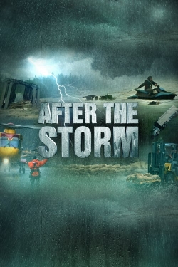 After the Storm-stream