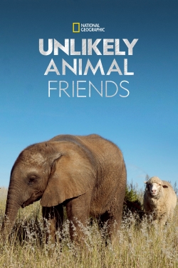 Unlikely Animal Friends-stream