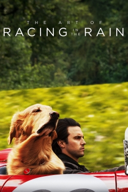 The Art of Racing in the Rain-stream