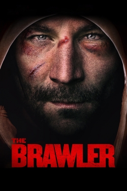 The Brawler-stream