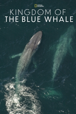 Kingdom of the Blue Whale-stream