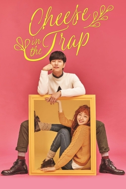 Cheese in the Trap-stream