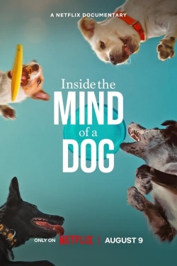 Inside the Mind of a Dog-stream