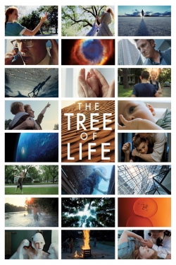 The Tree of Life-stream