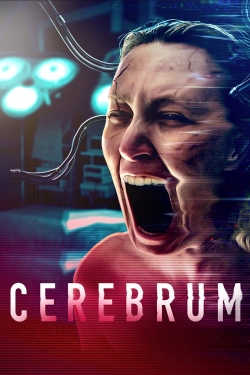 Cerebrum-stream