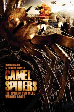 Camel Spiders-stream