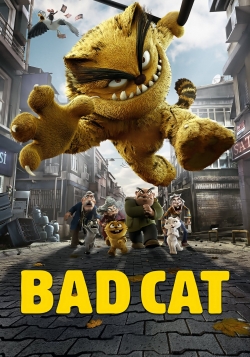 Bad Cat-stream