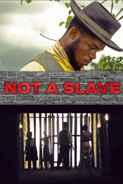 Not a Slave-stream