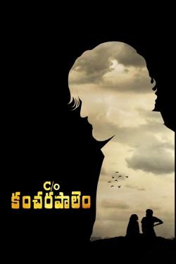 C/o Kancharapalem-stream