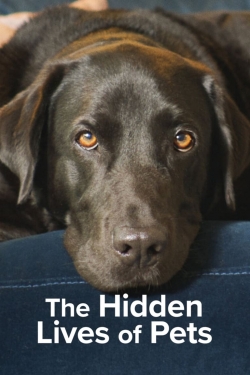 The Hidden Lives of Pets-stream