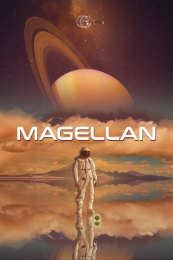 Magellan-stream