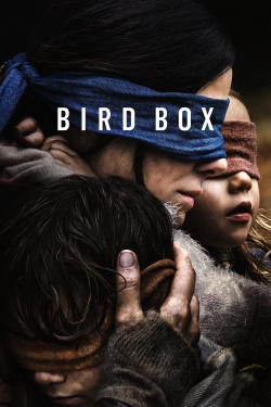 Bird Box-stream