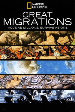 Great Migrations-stream