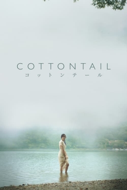 Cottontail-stream