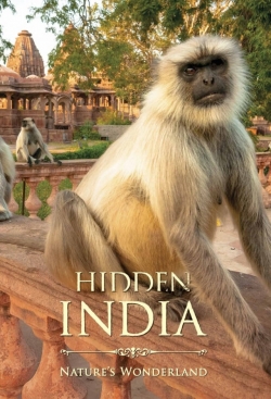 Hidden India-stream