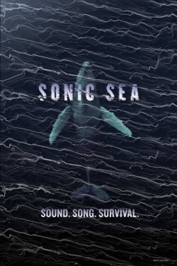 Sonic Sea-stream