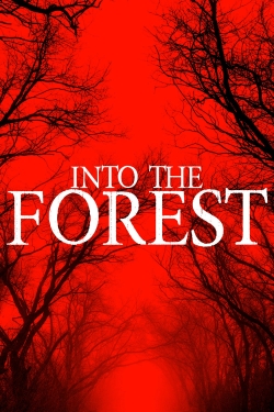 Into The Forest-stream