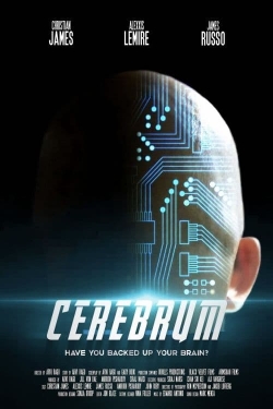 Cerebrum-stream