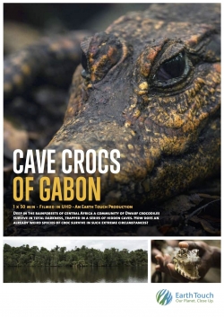 Cave Crocs of Gabon-stream